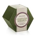 Набор Camellia Sibirica